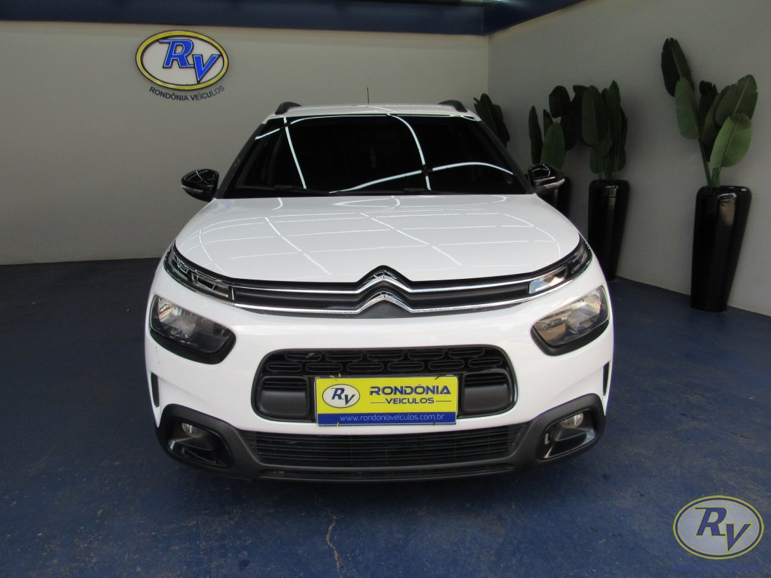 c4 cactus feel
