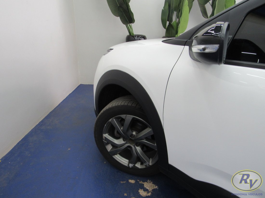 c4 cactus feel