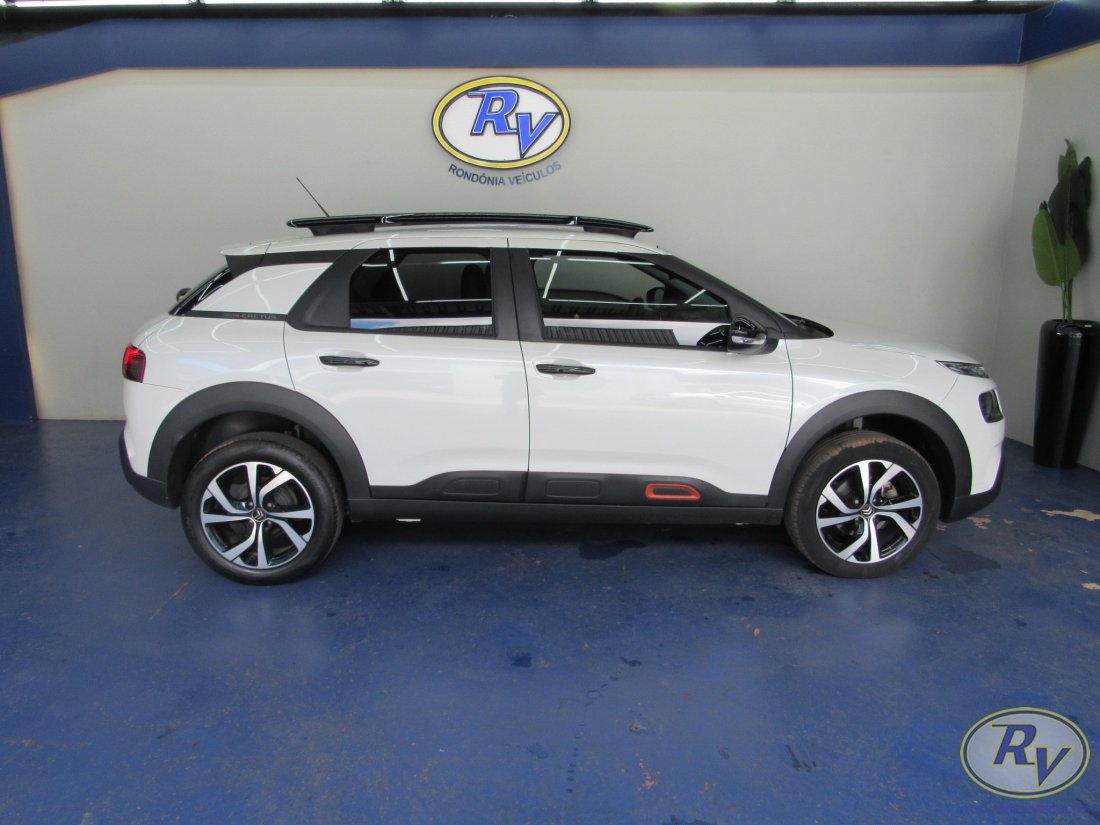 c4 cactus feel