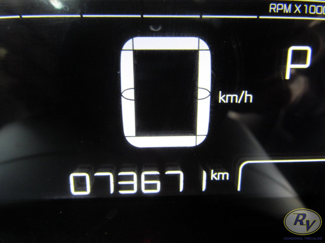 c4 cactus feel