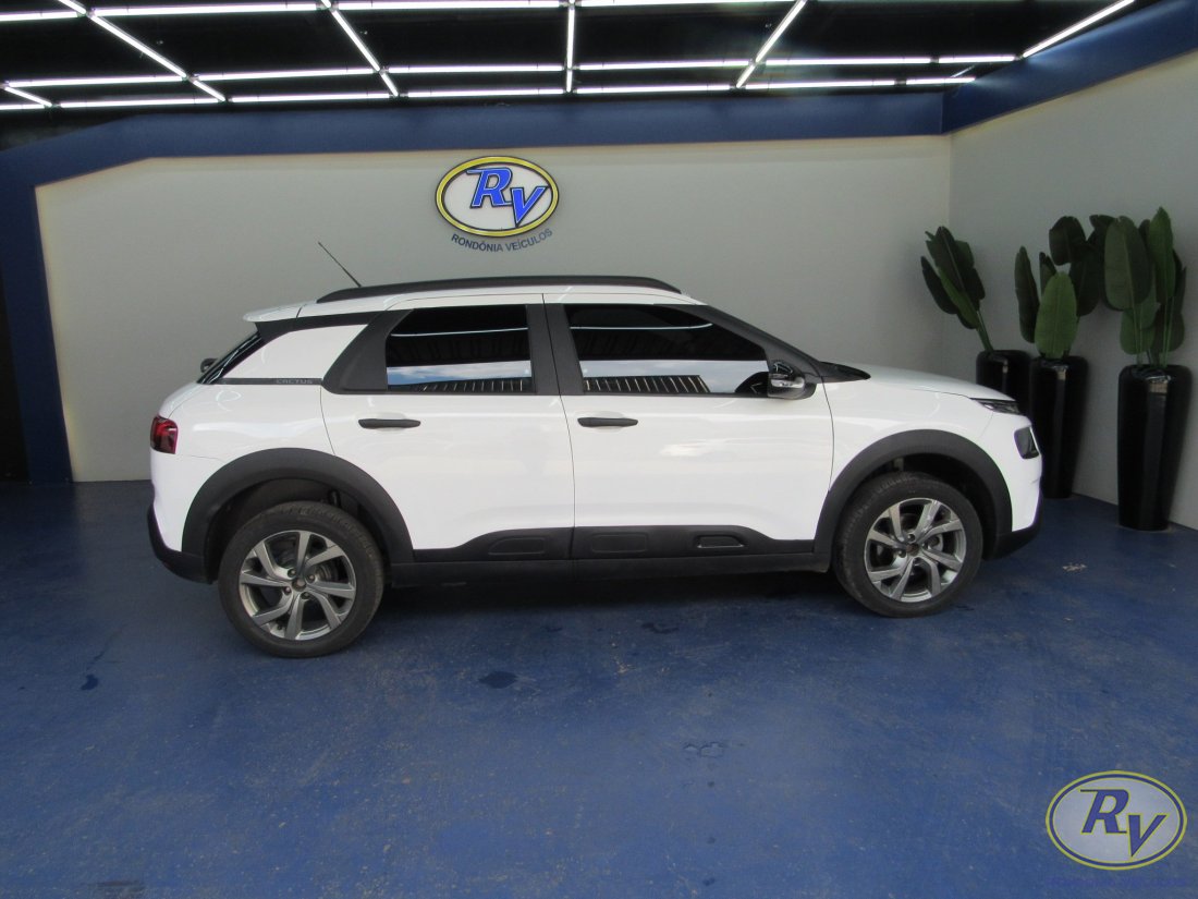 c4 cactus feel