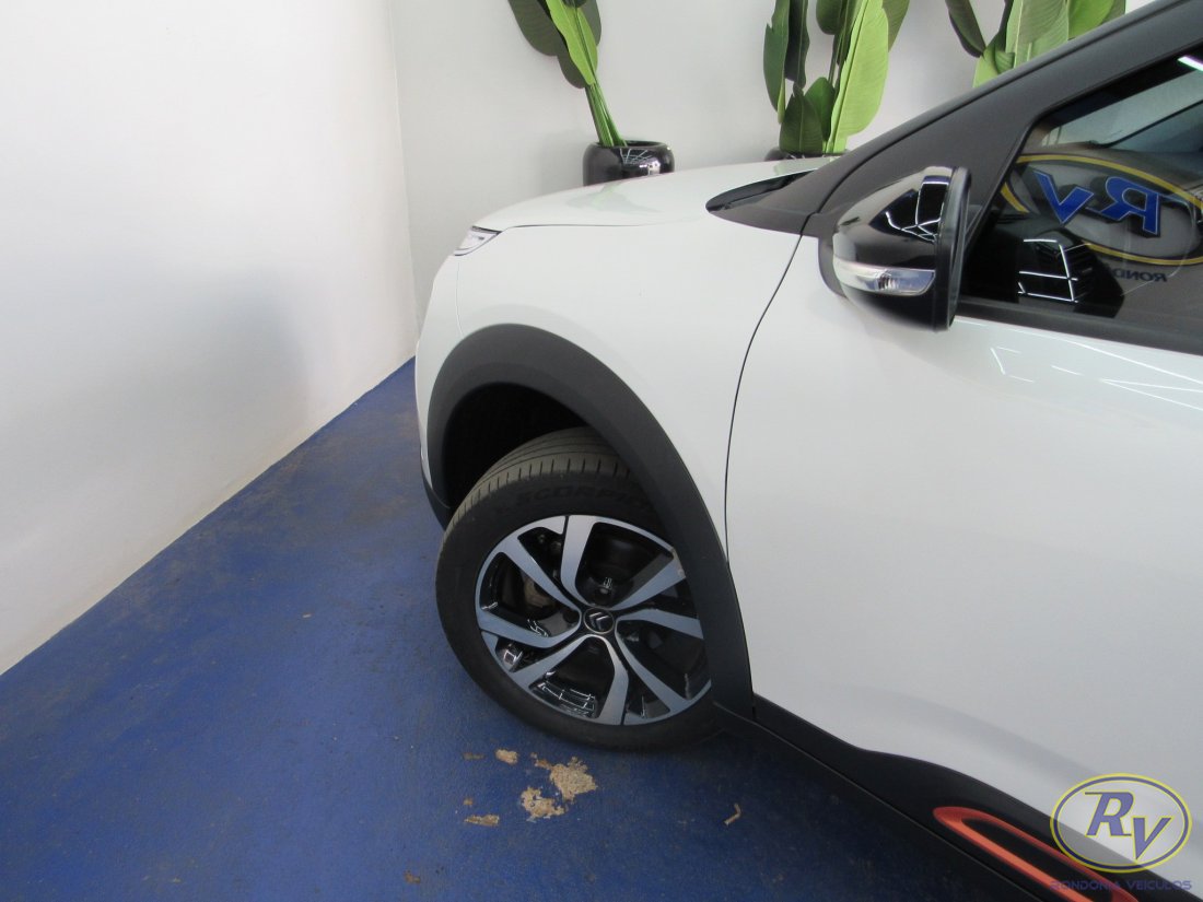 c4 cactus feel