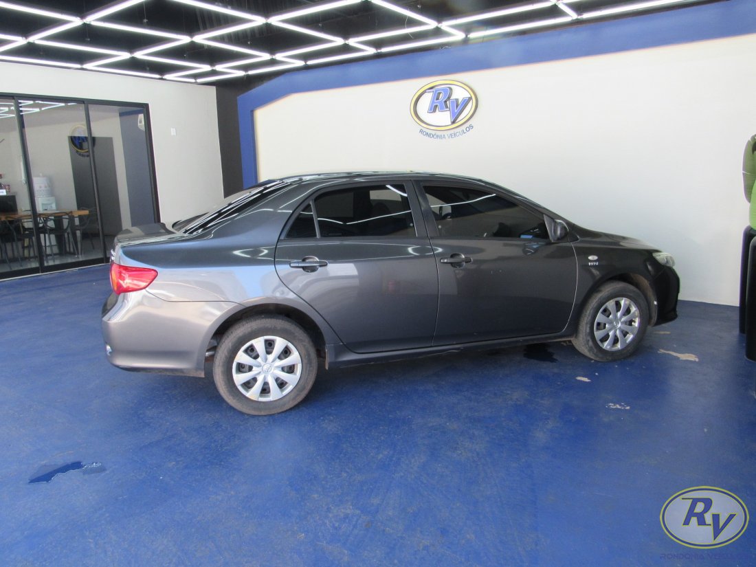 Corolla XLI