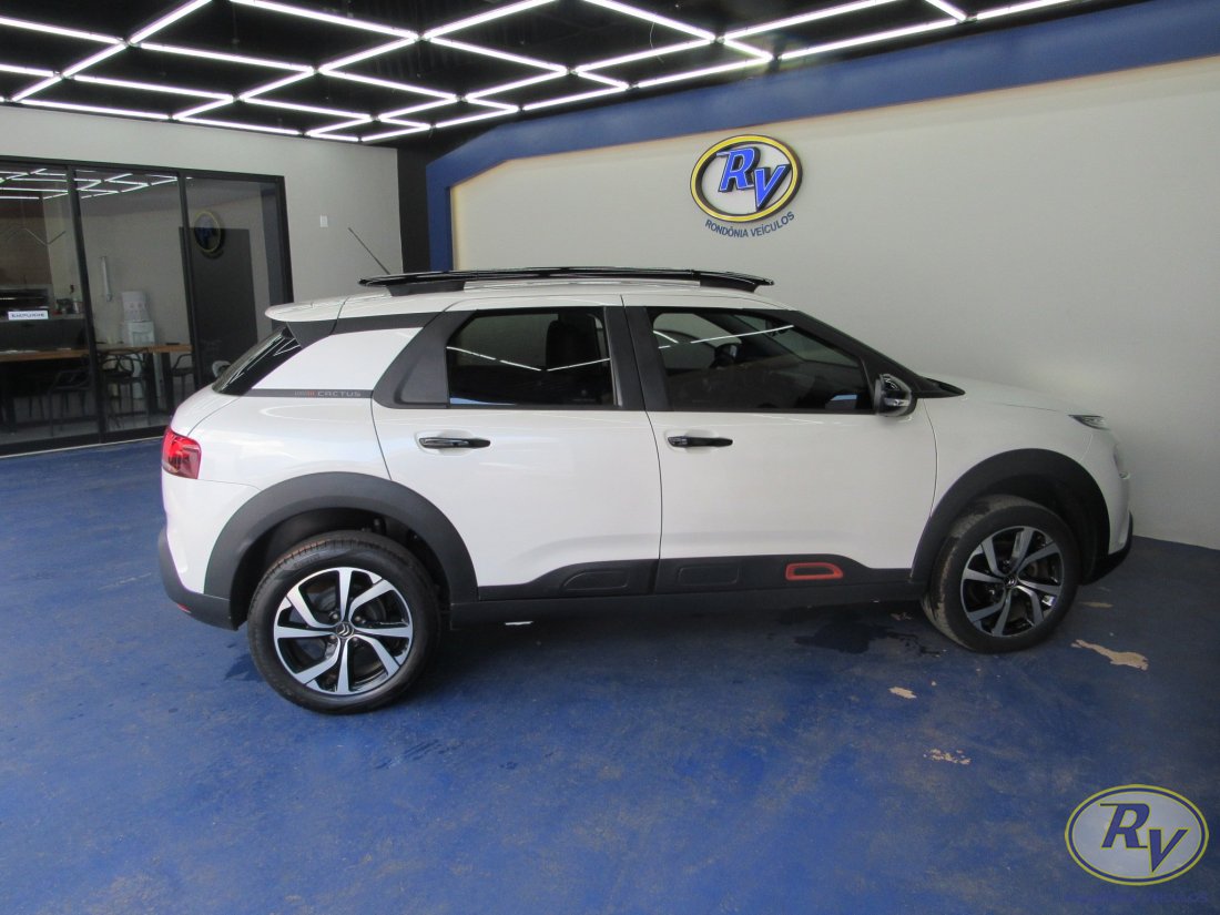 c4 cactus feel