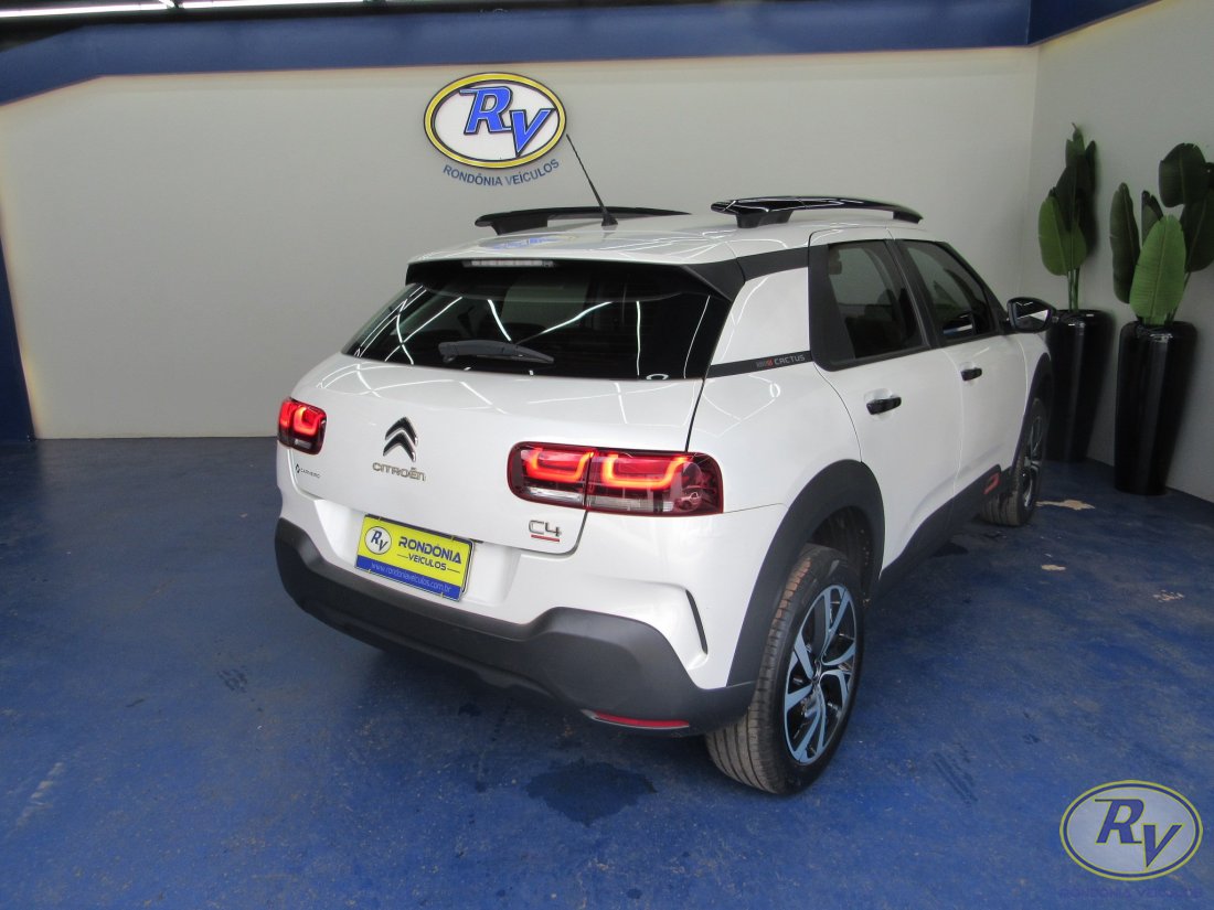 c4 cactus feel